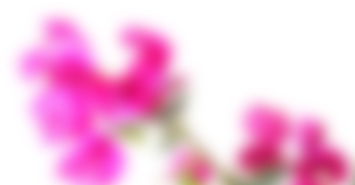 Image title
